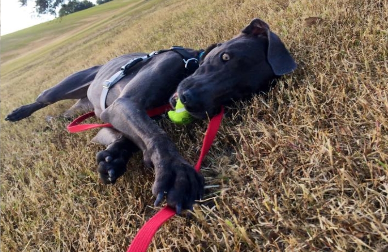 Foto: Reprodução Facebook