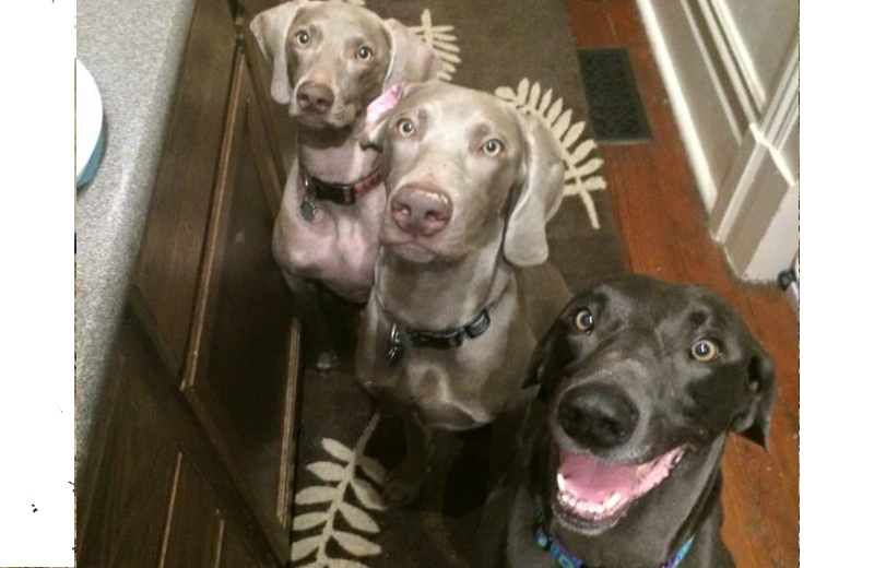 Alex e os irmãos adotivos