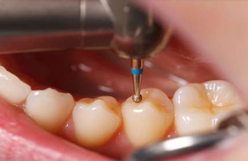 Foto: Ocskay Bence / Shutterstock