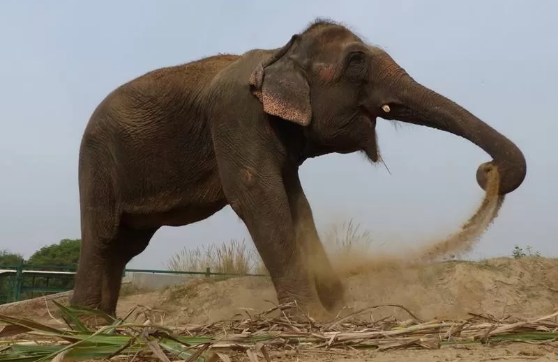 MIA CURTINDO A LIBERDADE (FOTO: REPRODUÇÃO/FACEBOOK)||||