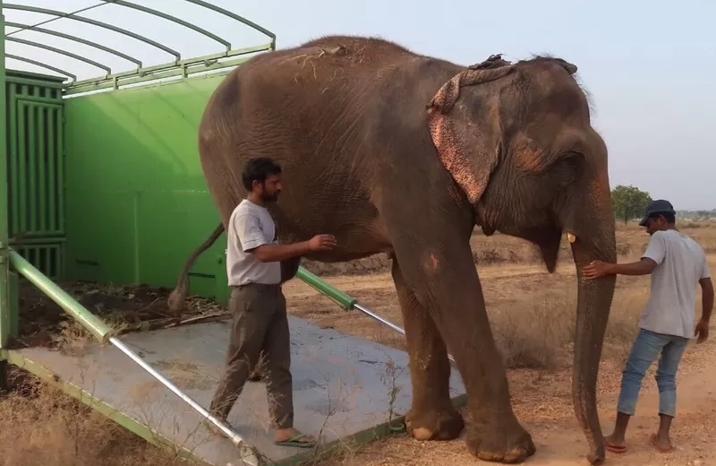 Foto: Mia e Sita/Divulgação