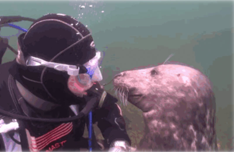 Foto: reprodução/Youtube|