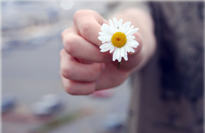 Foto: reprodução|Foto: reprodução