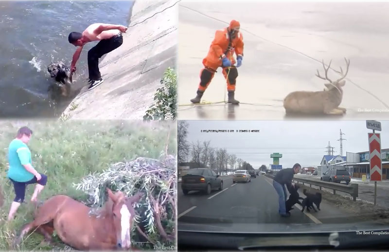 Fotos: reprodução/Youtube