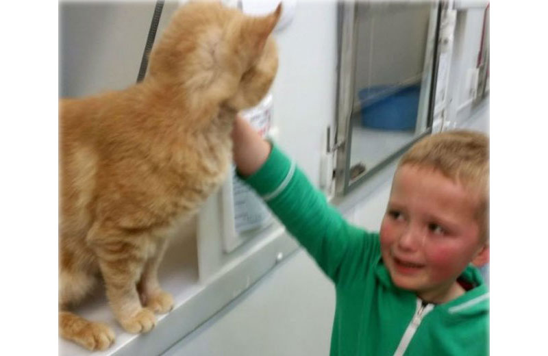 Foto: reprodução/Daily Mail