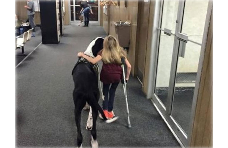 menina-anda-cao-close-2