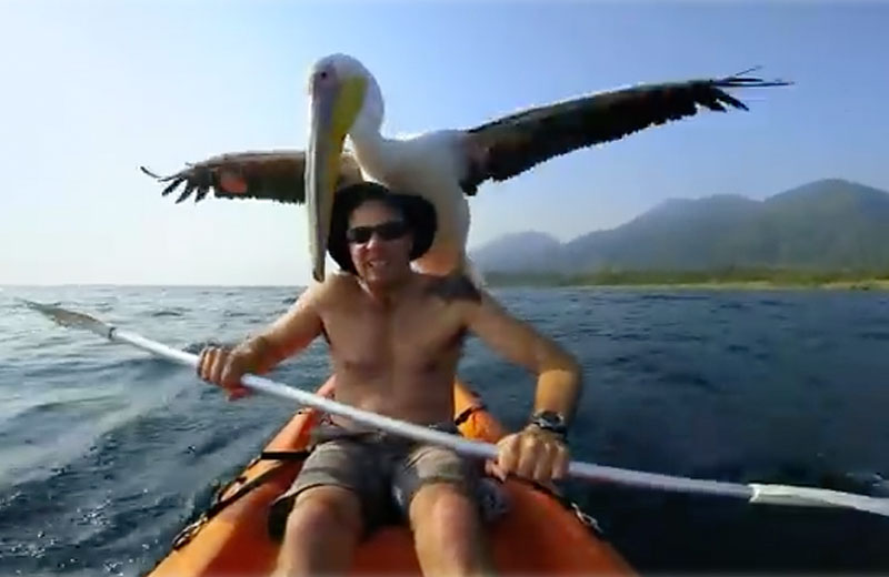 Foto: reprodução/Youtube