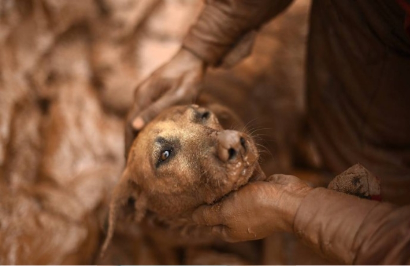 Foto: Douglas Magno/AFP||||