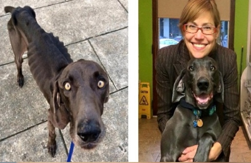 Foto: Reprodução|Foto: Reprodução Facebook|Alex e os irmãos adotivos