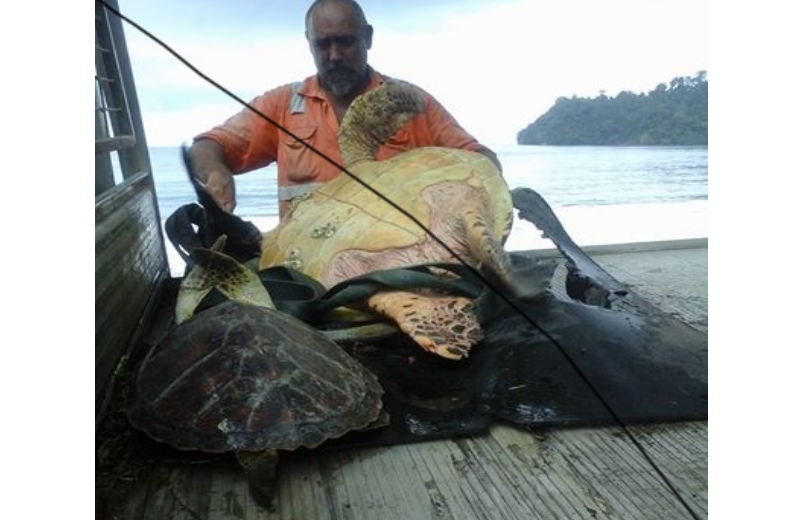 Foto: Reprodução Facebook||