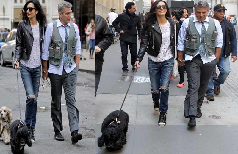 Foto: Clooney e sua mulher Amal passeando com Einstein