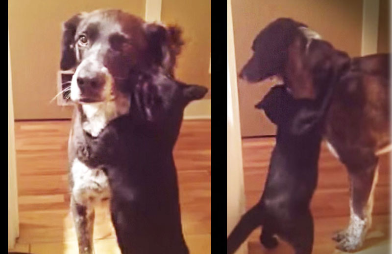 Foto: reprodução/Youtube