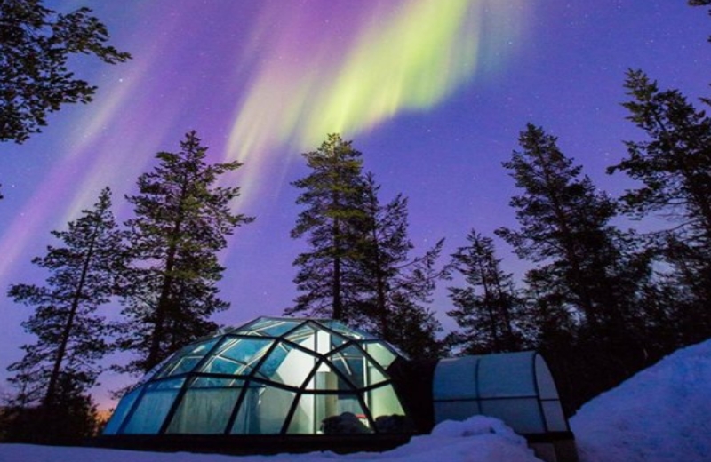 Foto: Divulgação||||