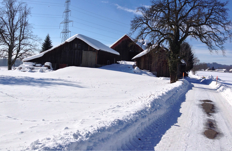 Foto: Ninna Crot|Foto: Ninna Crot