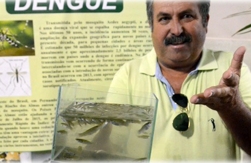 Foto: Beto Macário/UOL