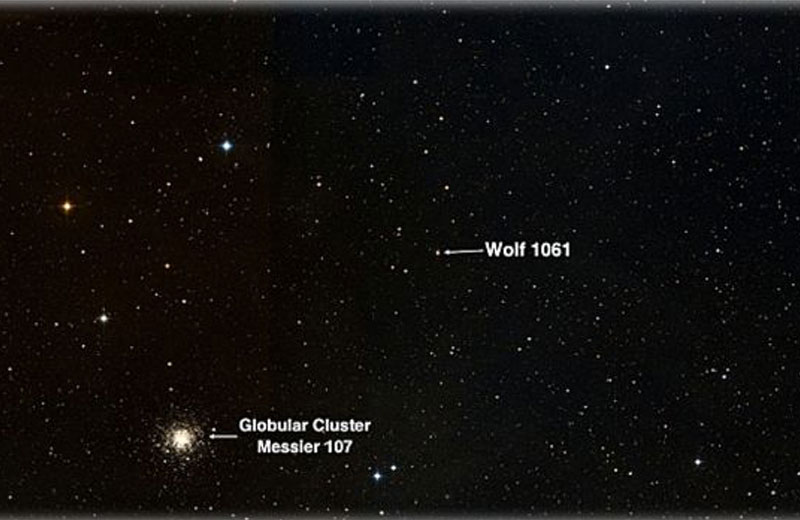 Foto: Universidade de Nova Gales do Sul