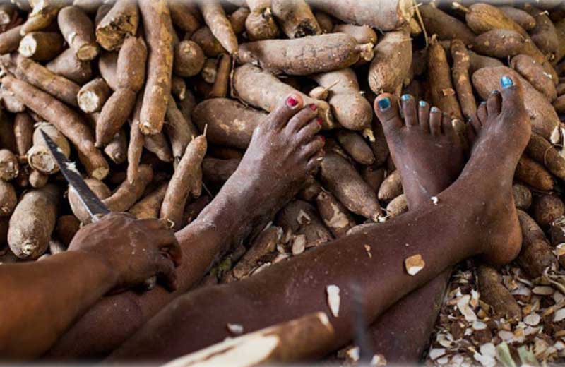 Foto: Tiago Queiroz/Estadão