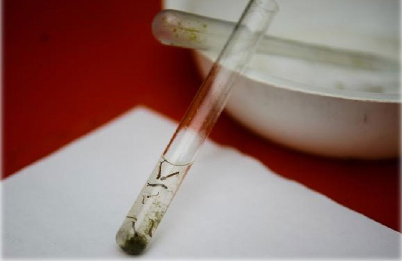 Foto: Tânia Rêgo/Agência Brasil