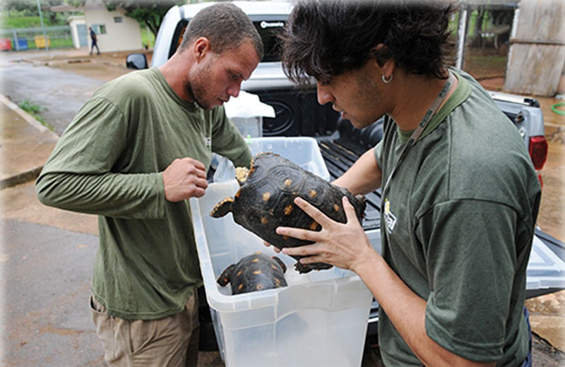 Foto: Dênio Simões/Agência Brasília