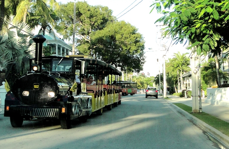 Key West: Cenas comuns