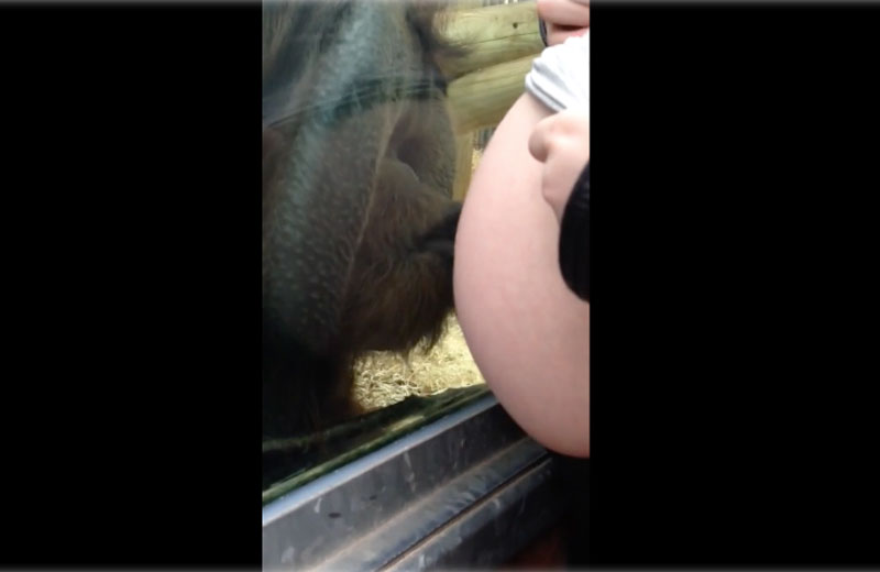 Foto: reprodução/Youtube