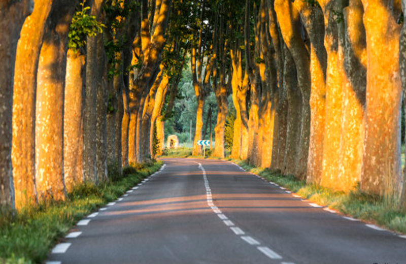Foto: Provença/França/Gettyimages