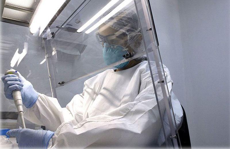 Foto: Pixabay|Foto: Pixabay