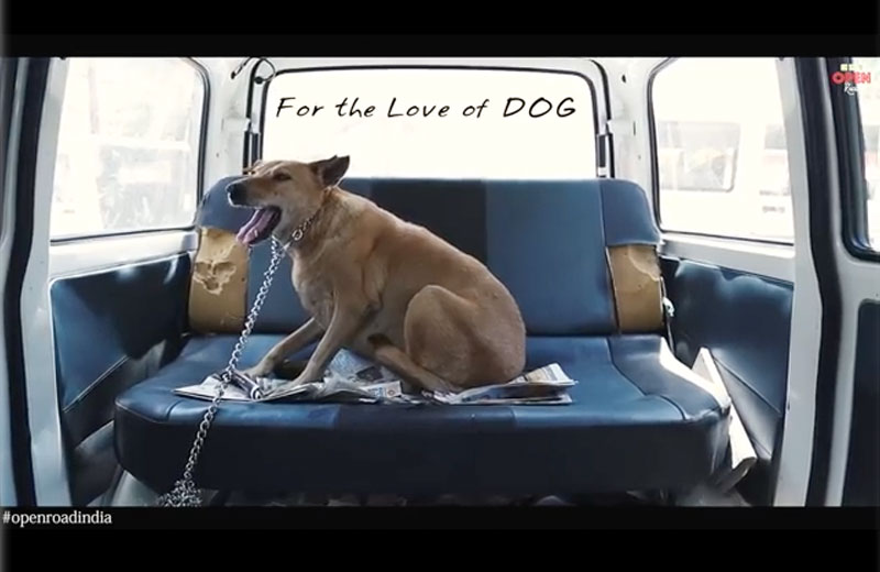 Foto: reprodução/Youtube