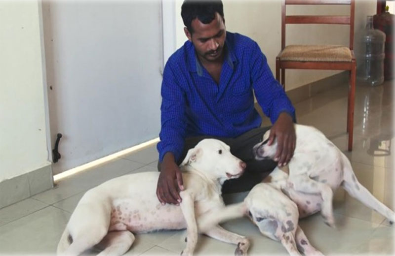 Foto: reprodução/Youtube