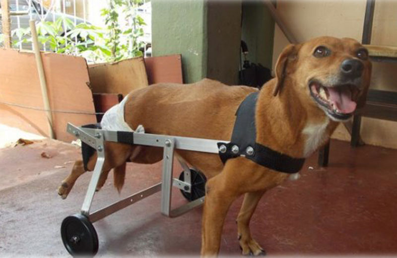 Foto: reprodução/Yahoo