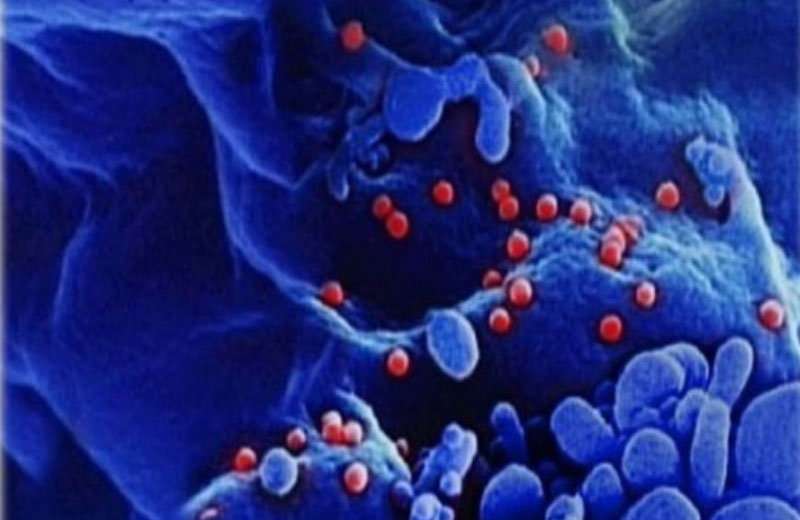 Foto: Divulgação / HIV Boehringer-Ingelheim|Foto: Divulgação / HIV Boehringer-Ingelheim