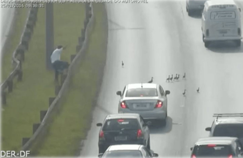 Foto: reprodução DER/DF