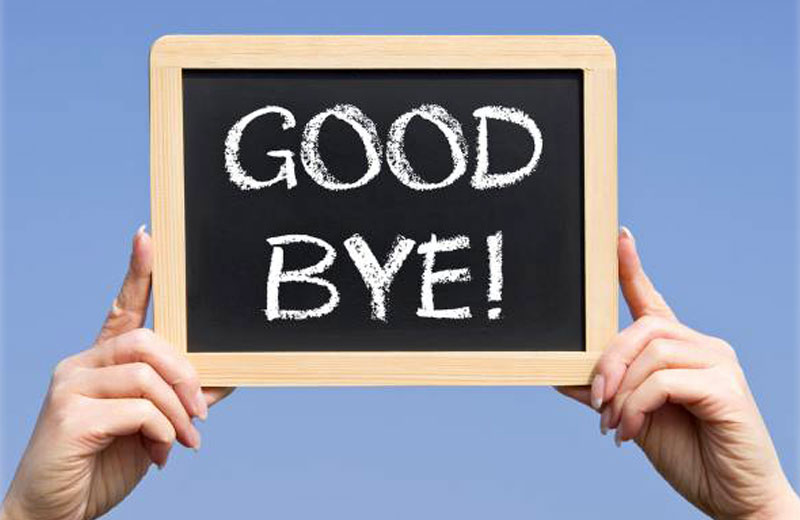 Foto: docstockmedia / Shutterstock