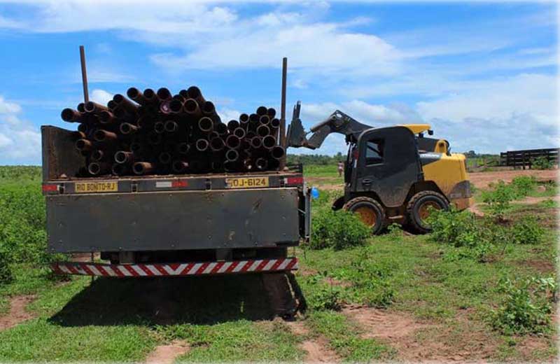 Foto: Santuário dos Elefantes/ Divulgação
