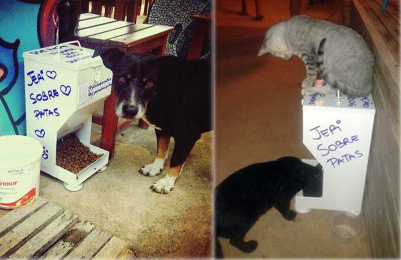 Fotos: reprodução Facebook/Jeri Sobre Patas