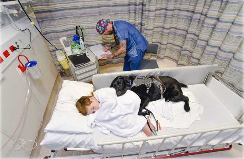 Fotos: reprodução/Louise Goossens/Hospital Infantil Wellington|