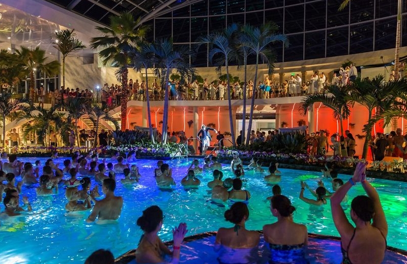 Foto: Reprodução||