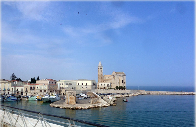 Foto: Ninna Crot|Foto: Ninna Crot|||||||