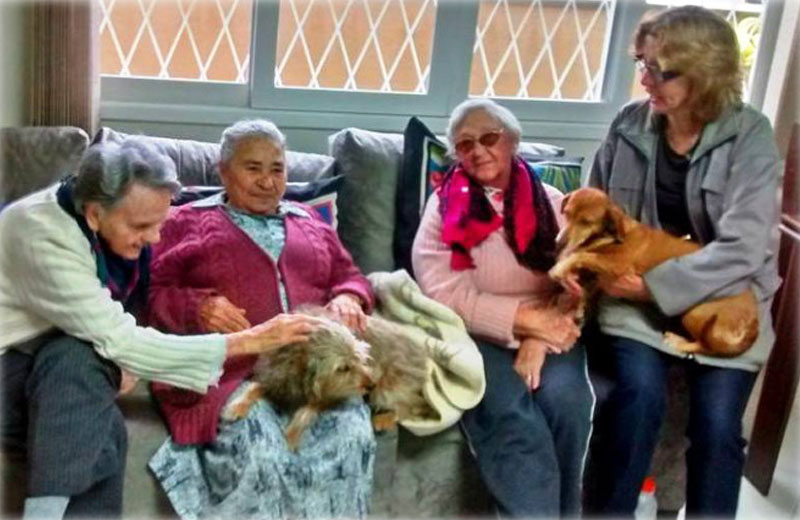 Foto: Divulgação / Lar de Idosos Viva Mais