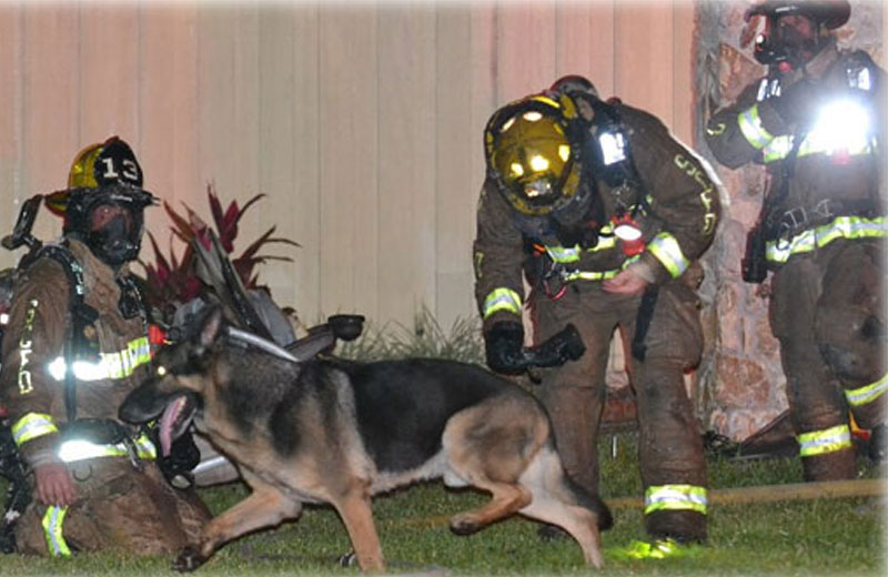 Foto:  Seminole County Sheriff's Office|