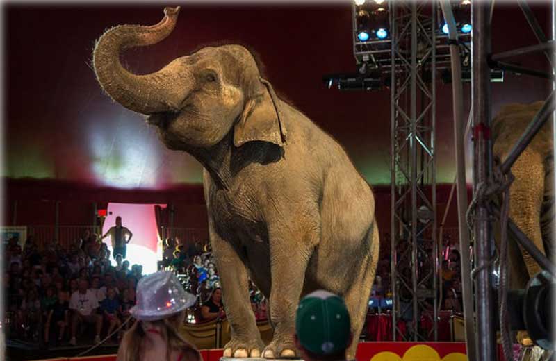 Foto: Reprodução/Alex Kravastev – Flickr