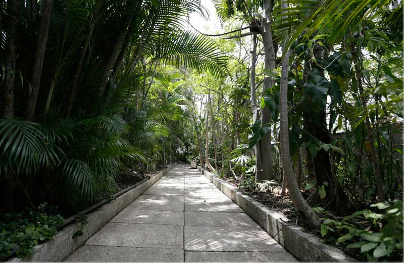 Foto: divulgação / Prefeitura de São Paulo