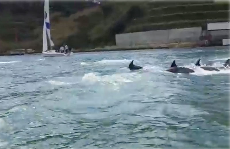 Foto: reprodução/Youtube