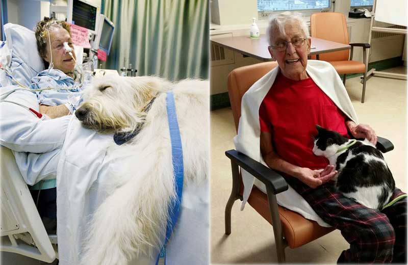 Fotos: Zachary's Paws For Healing 