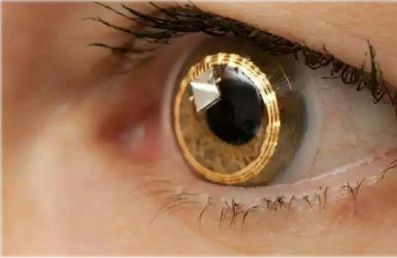 Fotos: reprodução|