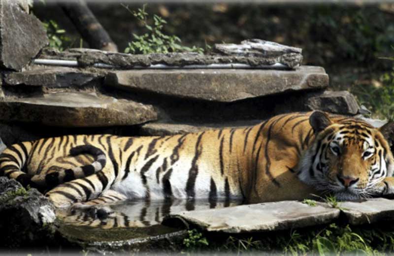 Foto: Jose Cabezas/Reuters