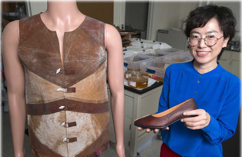 Fotos: divulgação|||||