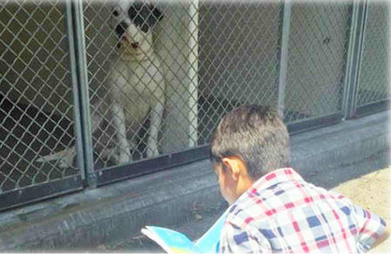 Foto: reprodução / NBC