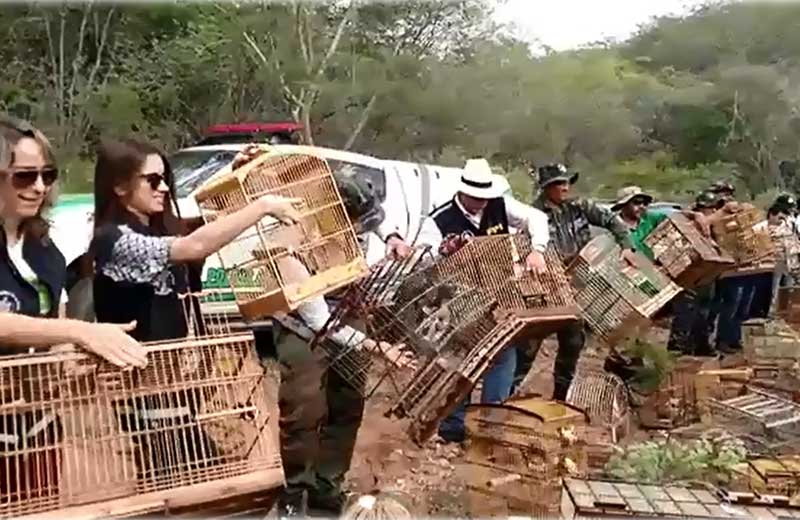 Foto: reprodução/ Facebook