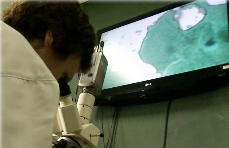 Foto: reprodução/TV Tem